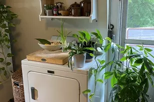 607 E 7th St, Boston, MA 02127 - Photo 21