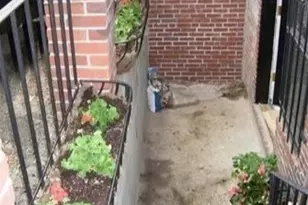 241 Beacon St, Boston, MA 02116 - Photo 15