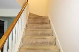 58 Victoria Heights Ave, Boston, MA 02136 - Photo 13