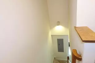 58 Victoria Heights Ave, Boston, MA 02136 - Photo 19