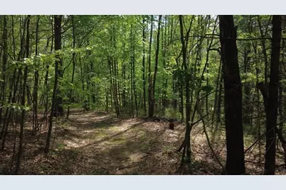 32 Hollow Rd, Wales, MA 01081 - Photo 17