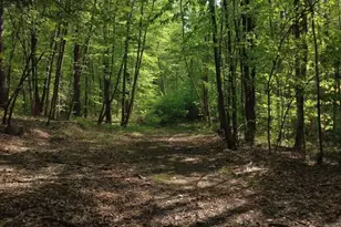 32 Hollow Rd, Wales, MA 01081 - Photo 19