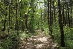 32 Hollow Rd, Wales, MA 01081 - Photo 23