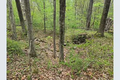 32 Hollow Rd, Wales, MA 01081 - Photo 15