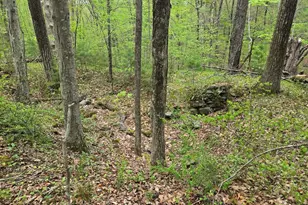32 Hollow Rd, Wales, MA 01081 - Photo 15