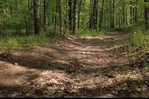 32 Hollow Rd, Wales, MA 01081 - Photo 15