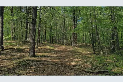 32 Hollow Rd, Wales, MA 01081 - Photo 15