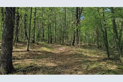 32 Hollow Rd, Wales, MA 01081 - Photo 21