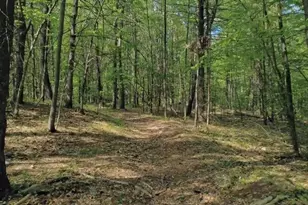 32 Hollow Rd, Wales, MA 01081 - Photo 21