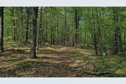 32 Hollow Rd, Wales, MA 01081 - Photo 15