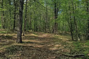 32 Hollow Rd, Wales, MA 01081 - Photo 15