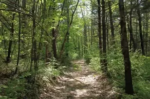 32 Hollow Rd, Wales, MA 01081 - Photo 25