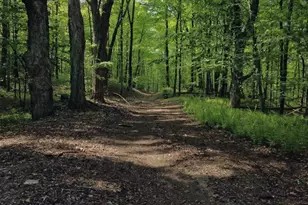 32 Hollow Rd, Wales, MA 01081 - Photo 13