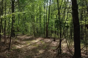 32 Hollow Rd, Wales, MA 01081 - Photo 17