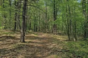 32 Hollow Rd, Wales, MA 01081 - Photo 13
