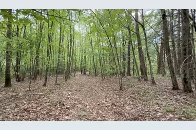 32 Hollow Rd, Wales, MA 01081 - Photo 19