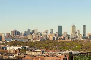 1 Nevins Hl Wy, Boston, MA 02135 - Photo 35