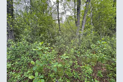 0 Lot 2 Stoddard Rd, Winchendon, MA 01475 - Photo 3