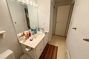 5 Village Rock Ln, Natick, MA 01760 - Photo 13