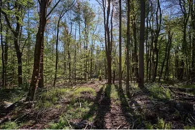 0 Radiker, Worthington, MA 01098 - Photo 5