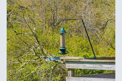 66 Snow Ln, Chatham, MA 02633 - Photo 39