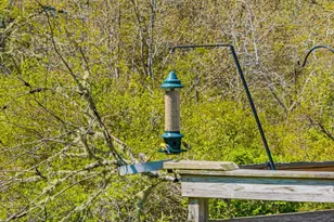 66 Snow Ln, Chatham, MA 02633 - Photo 39