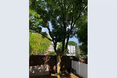 9 Grant #1, Boston, MA 02125 - Photo 13