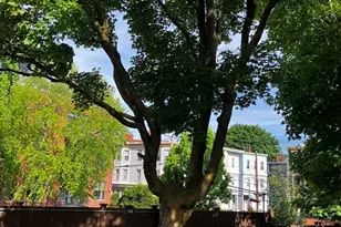 9 Grant, Boston, MA 02125 - Photo 13