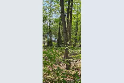 12 Carey Road, Sturbridge, MA 01566 - Photo 9