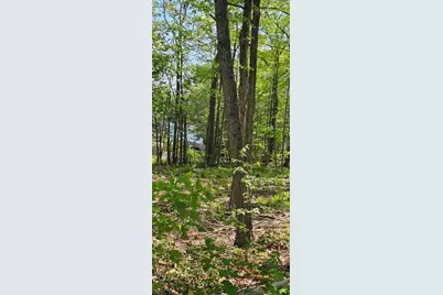 12 Carey Road, Sturbridge, MA 01566 - Photo 9
