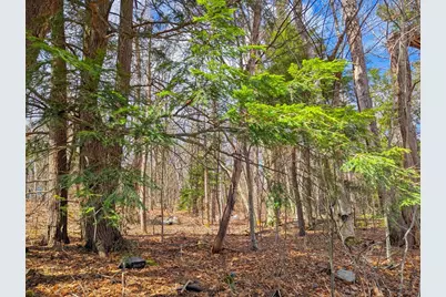 0 Johnson Rd, Becket, MA 01223 - Photo 13