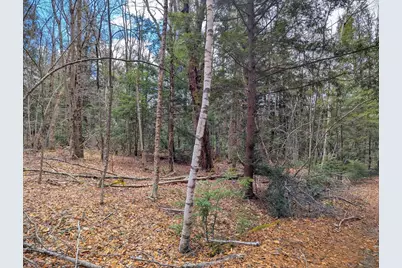 0 Johnson Rd, Becket, MA 01223 - Photo 17