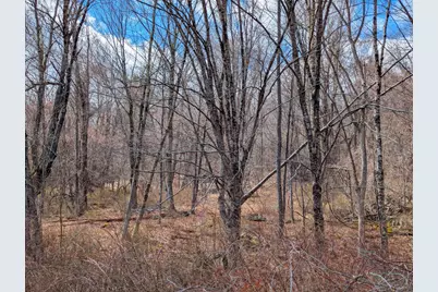 0 William Holmes Rd, Becket, MA 01223 - Photo 9