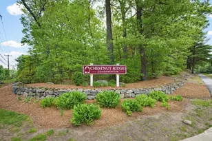 5 Magnolia Dr, Franklin, MA 02038 - Photo 37