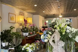 595 Tremont, Boston, MA 02118 - Photo 17