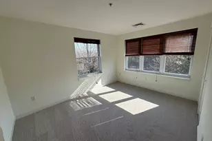 318 Rindge Ave, Cambridge, MA 02140 - Photo 11