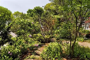 18 Southbourne Rd, Boston, MA 02130 - Photo 37