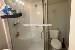 10 Roxbury, Boston, MA 02119 - Photo 19
