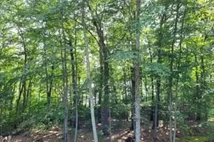 2399 Bay Rd, Sharon, MA 02067 - Photo 37