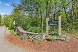20 Olde Country Village, Londonderry, NH 03053 - Photo 3