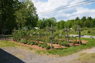 425 Dingle Rd, Worthington, MA 01098 - Photo 23