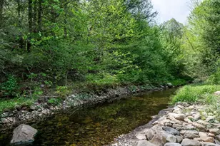 425 Dingle Rd, Worthington, MA 01098 - Photo 3