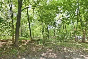 397 Washington St, Norwood, MA 02062 - Photo 39