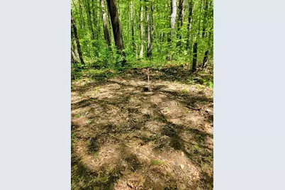 Lot 5 Daniels Rd, Charlton, MA 01507 - Photo 3