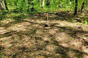 Lot 5 Daniels Rd, Charlton, MA 01507 - Photo 3