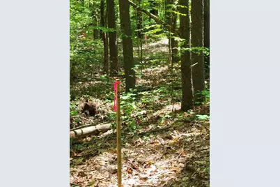 Lot 5 Daniels Rd, Charlton, MA 01507 - Photo 7