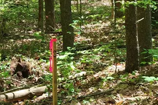 Lot 5 Daniels Rd, Charlton, MA 01507 - Photo 7