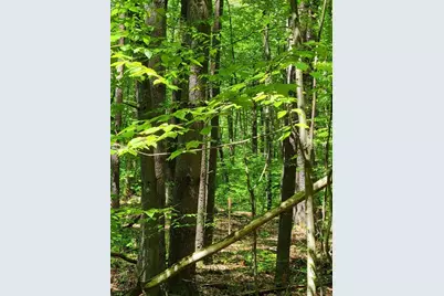 Lot 5 Daniels Rd, Charlton, MA 01507 - Photo 5