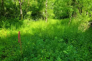 Lot 6 Daniels Rd, Charlton, MA 01507 - Photo 3