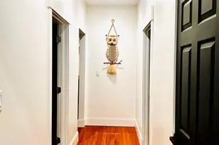 41 Gleason St, Boston, MA 02121 - Photo 3